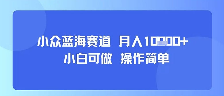 小众蓝海赛道，小白可做，操作简单，每天30分钟，月入1W+-情久项目网