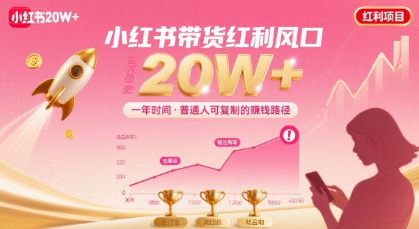 一年时间靠小红书带货项目年入20w+，最不能错的大红利项目-情久项目网