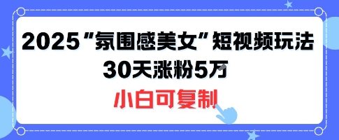 不露脸也能火！2025“氛围感美女”短视频玩法，30天涨粉5W小白可复制-情久项目网