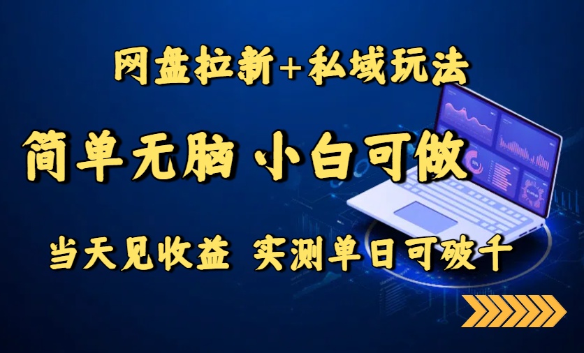 网盘拉新+私域玩法，简单无脑，小白可做，当天见收益，实测单日可破千-情久项目网