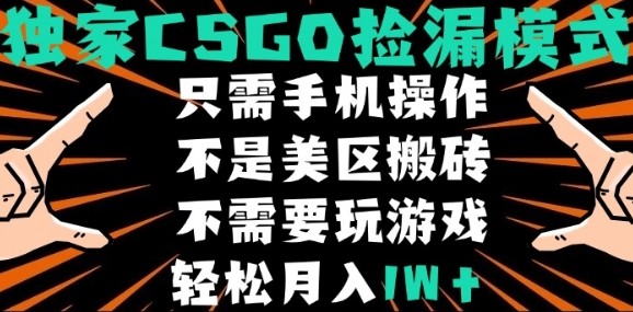 CSGO自动捡漏项目，最新独家玩法，不是美区搬砖，不需要了解和玩游戏，新手小白轻松月入1W+【揭秘】-情久项目网