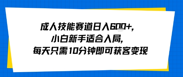 成人技能赛道日入多张，小白新手适合入局，每天只需10分钟即可获客变现-情久项目网