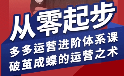 拼多多运营进阶系统课，从零起步，多多运营进阶体系课，破茧成蝶的运营之术-情久项目网