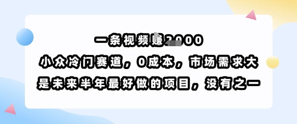 一条视频挣1k，小众冷门赛道，0成本，市场需求大，是未来半年最好做的项目，没有之一-情久项目网
