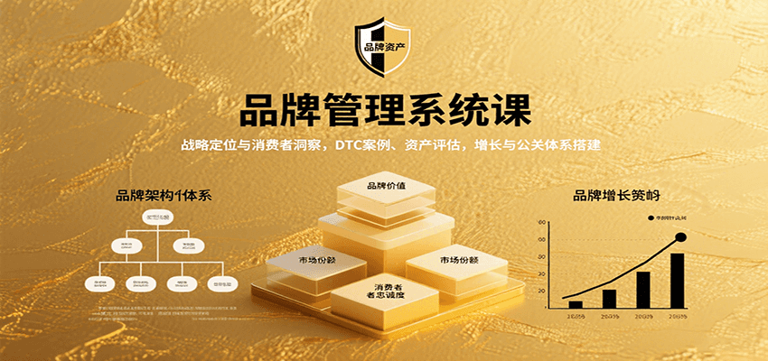 品牌管理系统课：战略定位与消费者洞察，DTC案例、资产评估，增长与公关体系搭建-情久项目网