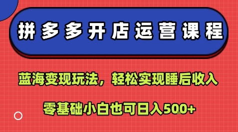 拼多多开店运营课程：蓝海变现玩法，轻松实现睡后收入，零基础小白也可日入5张-情久项目网