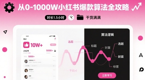 从0-1000W小红书爆款算法全攻略，时长1.5小时，干货满满-情久项目网