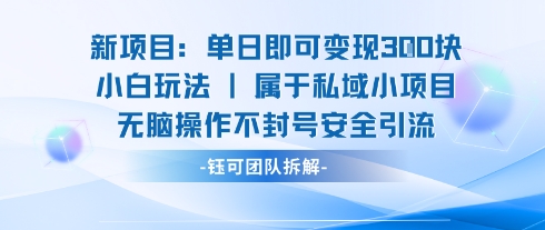 新项目单日即可变现3张的小白玩法无脑操作不封号安全引流-情久项目网