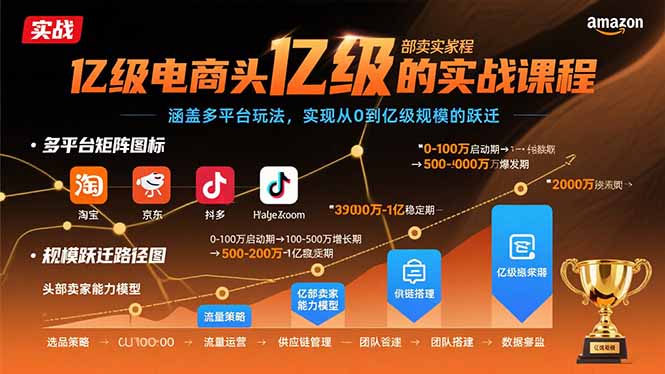 亿级电商头部卖家的实战课程：涵盖多平台玩法，实现从0到亿级规模的跃迁-情久项目网