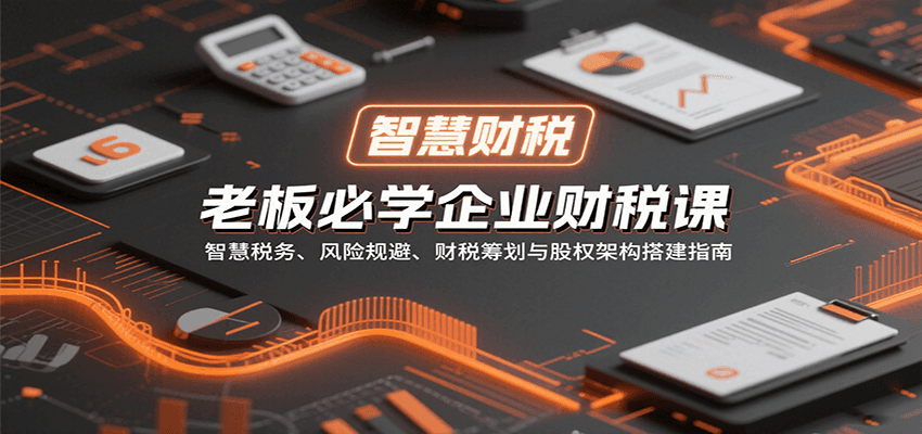老板必学企业财税课：智慧税务、风险规避、财税筹划与股权架构搭建指南-情久项目网