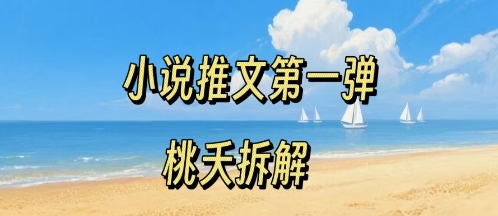 小说推文项目操作全流程第一弹，0粉就能做，门槛低非常适合新手-情久项目网