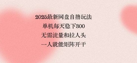 2025最新网盘自撸玩法，单机每天稳下3张，无需流量和拉人头，一个人就可轻松矩阵，全网独一份【揭秘】-情久项目网