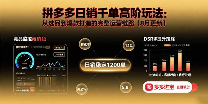 拼多多日销千单高阶玩法：从选品到爆款打造的完整运营链路(8月更新-情久项目网