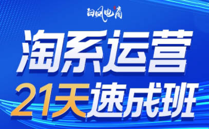 白凤电商·淘系运营21天速成班(更新8月)-情久项目网