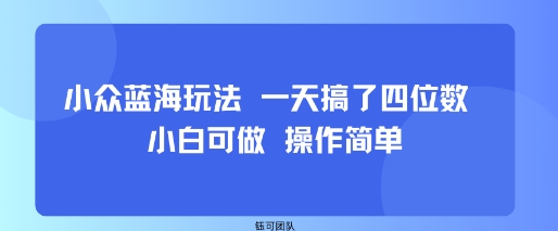 小众蓝海玩法 一天搞了四位数 小白可做 操作简单-情久项目网