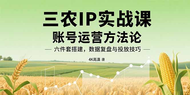 三农IP实战课：账号运营方法论，六件套搭建，数据复盘与投放技巧-情久项目网