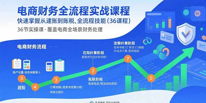 电商财务全流程实战课程：快速掌握从建账到报税的全流程技能(36节课-情久项目网
