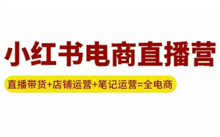 申铭老师·小红书电商直播营(更新)-情久项目网