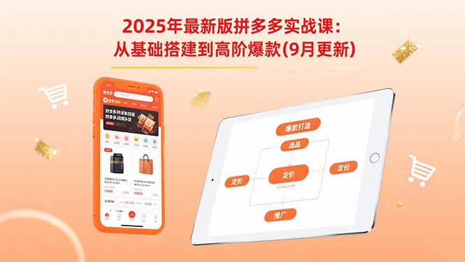 2025年最新版拼多多实战课：从基础搭建到高阶爆款(9月更新-情久项目网