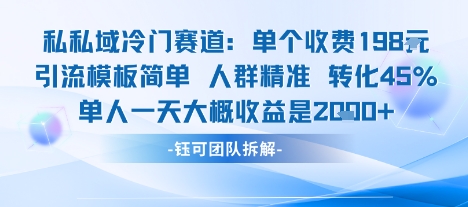 私域冷门赛道单个收费198米引流模板简单人群精准 45%的转化率单人一天大概收益多张-情久项目网