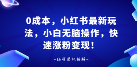 0成本，小红书最新玩法，小白无脑操作，快速涨粉变现-情久项目网