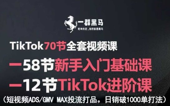 TikTok全套视频课，新手入门+进阶课，短视频ADS-GMV MAX投流打品，日销破1000单打法-情久项目网