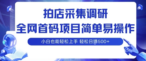 拍店采集调研，全网首码项目，简单易操作， 小白也能轻松上手，多账号操作，轻松日入5张【揭秘】-情久项目网