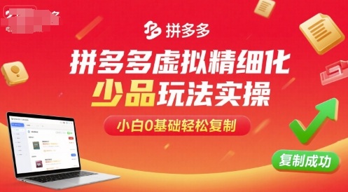 拼多多虚拟精细化少品玩法实操，小白0基础轻松复制-情久项目网