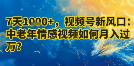 7天收益1k+，视频号新风口：中老年情感视频如何月入过W?-情久项目网