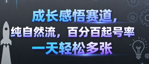 成长感悟赛道，纯自然流，百分百起号率 一天轻松多张-情久项目网