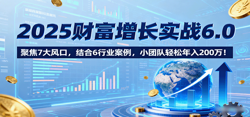 2025财富增长实战6.0，聚焦7大风口，结合6行业案例，小团队轻松年入200万！-情久项目网