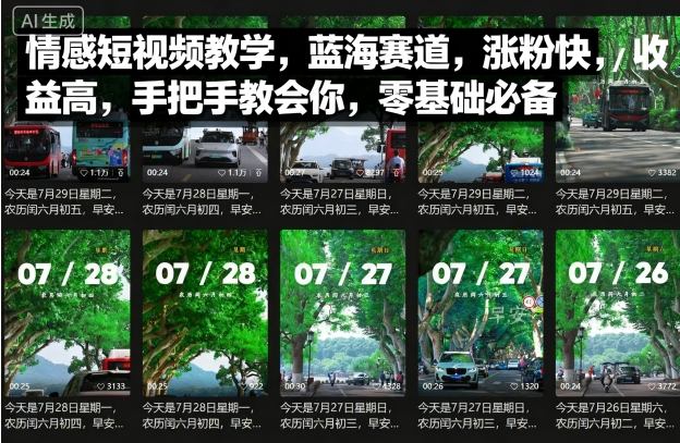 情感短视频教学，蓝海赛道，涨粉快，收益高，手把手教会你，零基础必备-情久项目网