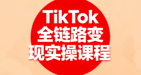 小杨老师·TikTok全链路变现实操课程-情久项目网