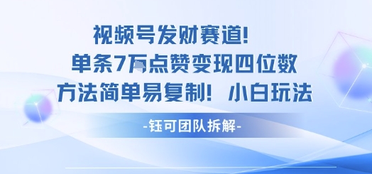 视频号发财赛道单条7W点赞变现四位数方法简单易复制小白玩法-情久项目网