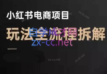 菲菲老师·小红书电商玩法(更新9月)-情久项目网