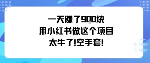一天挣了9张用小红书做这个项目太牛了，空手套-情久项目网