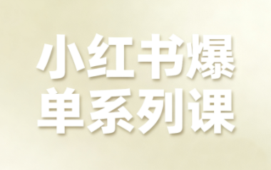 尼采老师·小红书爆单系列课-情久项目网