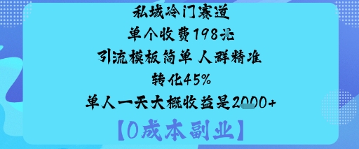 私域冷门赛道:单个收费198米引流模板简单人群精准转化45%单人一天大概收益是1k+-情久项目网