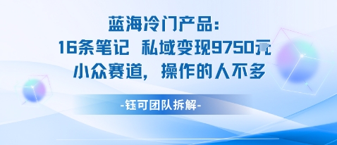 蓝海项目：16条笔记私域变现9750米小众赛道操作的人不多-情久项目网