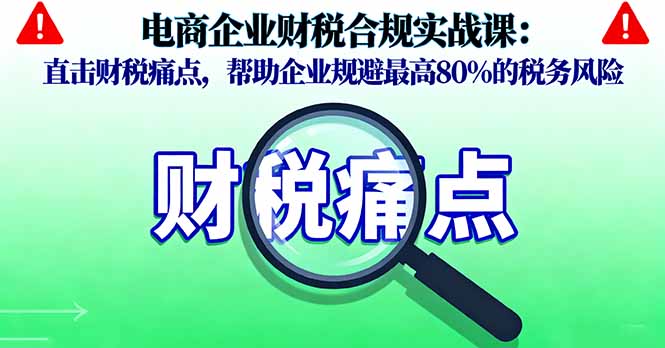 电商企业财税合规实战课，直击财税痛点，帮助企业规避最高80%的税务风险-情久项目网