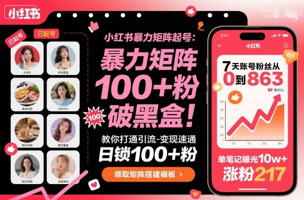 小红书暴力矩阵起号，教你打通引流-变现速通，日锁100+粉，破流量黑盒-情久项目网