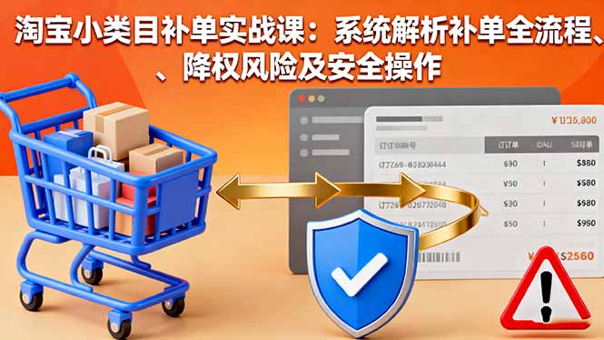淘宝小类目补单实战课：系统解析补单全流程、降权风险及安全操作-情久项目网