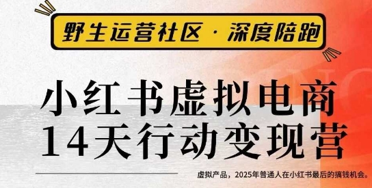 小红书虚拟电商14天变现训练营3.0，​虚拟产品，2025年普通人在小红书最后的搞钱机会-情久项目网