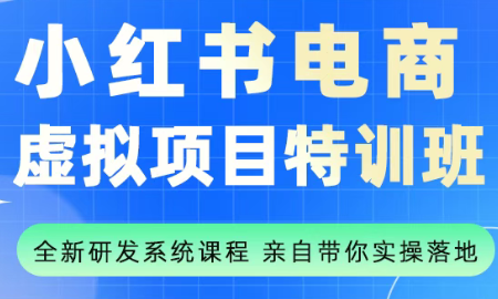 陆明明·小红书虚拟项目特训班(更新9月)-情久项目网
