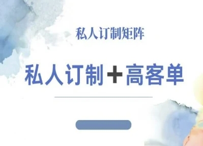 小红书自媒体咨询师IP教程，私人定制+高客单-情久项目网