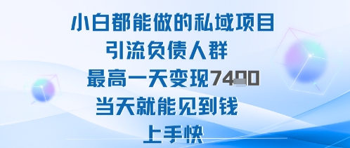 2025年小白都能做的私域项目引流负债人群最高一天变现1k+高变现难度低当天就能见到钱上手快-情久项目网