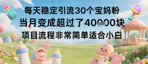 每天稳定引流30个宝妈粉当月变成超过了1W+项目流程非常简单适合小白-情久项目网