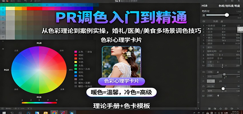 PR调色入门到精通：从色彩理论到案例实操，婚礼/医美/美食多场景调色技巧-情久项目网