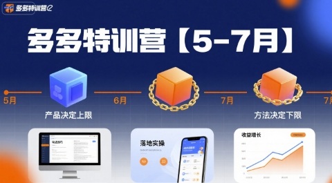 多多特训营，产品决定上限，方法决定下限，各种玩法技巧落地实操(更新)-情久项目网