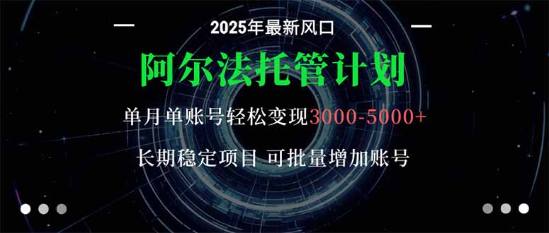 阿尔法托管计划 单账号月入3000-5000，长期稳定项目，新手小白轻松上手。-情久项目网